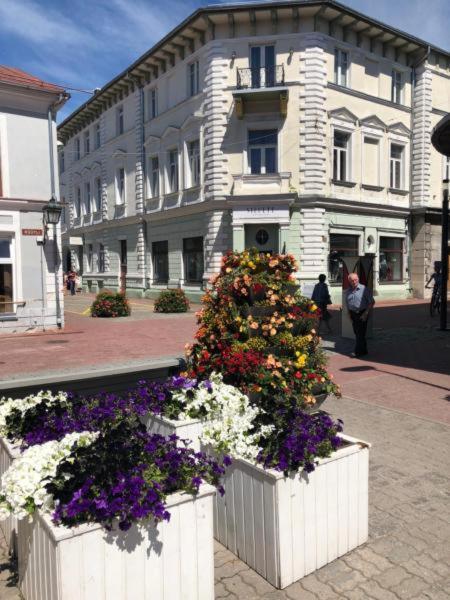Old Town Apartment Pärnu Exteriér fotografie